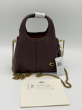 Coach Lana Mini Bag – Premium Quality 👜